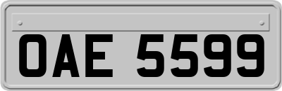 OAE5599