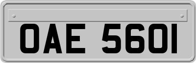 OAE5601