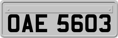 OAE5603