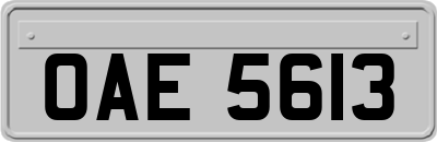 OAE5613