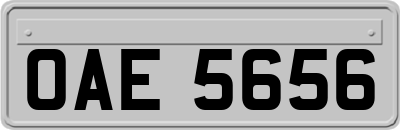 OAE5656