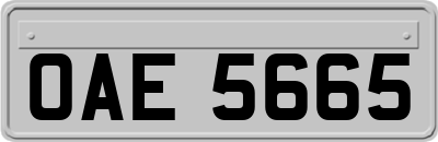 OAE5665