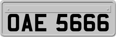 OAE5666