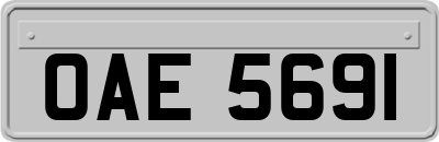 OAE5691