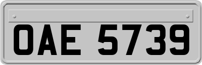 OAE5739
