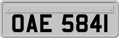 OAE5841