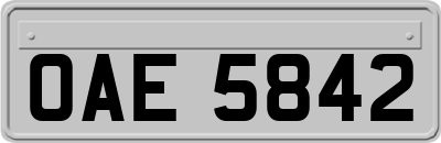 OAE5842