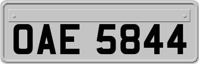 OAE5844
