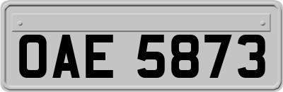 OAE5873