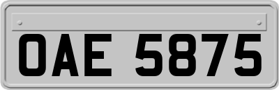 OAE5875