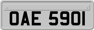 OAE5901