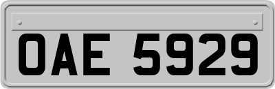 OAE5929
