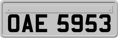 OAE5953