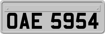OAE5954