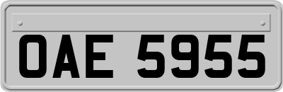 OAE5955