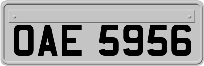 OAE5956