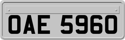 OAE5960