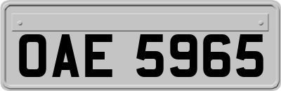 OAE5965