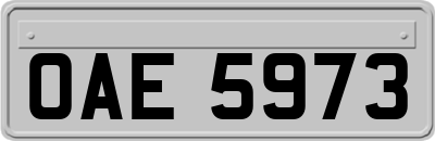 OAE5973