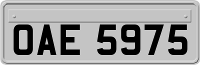 OAE5975