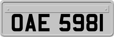 OAE5981