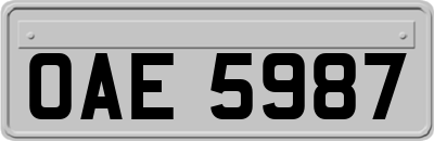 OAE5987