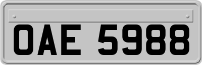 OAE5988