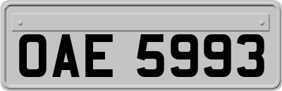 OAE5993
