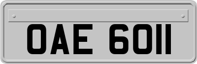 OAE6011