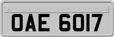 OAE6017