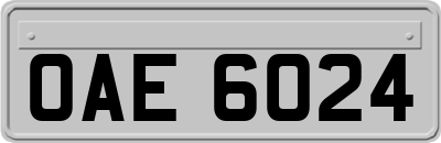 OAE6024