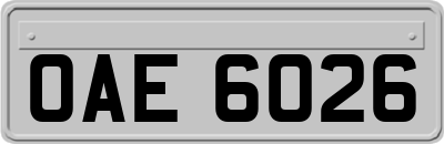 OAE6026