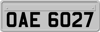 OAE6027