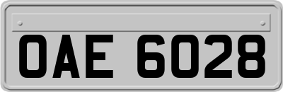 OAE6028