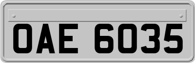 OAE6035