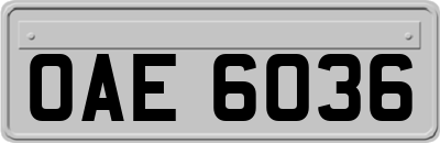OAE6036