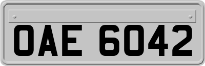 OAE6042