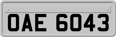 OAE6043