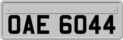 OAE6044