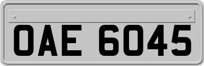 OAE6045