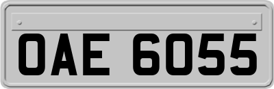 OAE6055