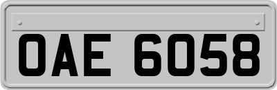 OAE6058