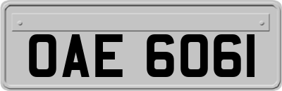OAE6061