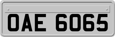 OAE6065