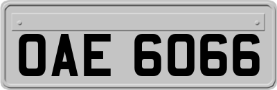 OAE6066