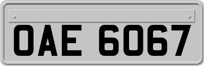 OAE6067