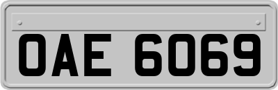 OAE6069