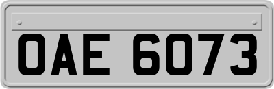 OAE6073