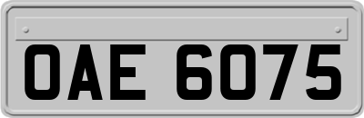 OAE6075