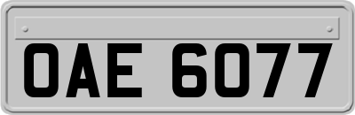OAE6077